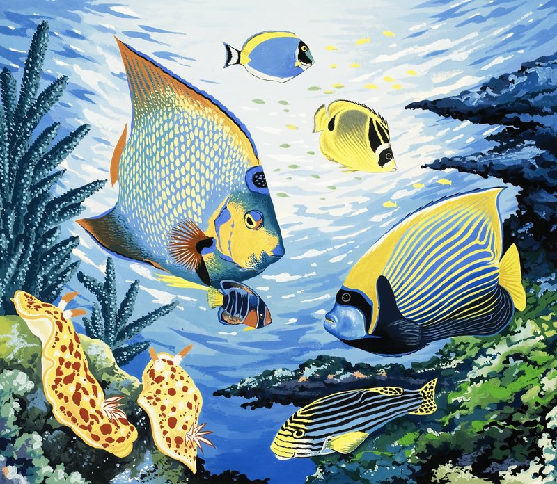 Poissons tropicaux - English School