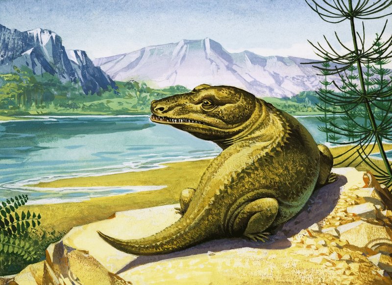 Dinosaure non identifié ressemblant à un crocodile - English School