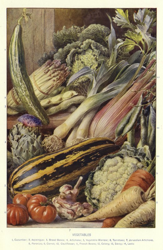 Légumes - English School