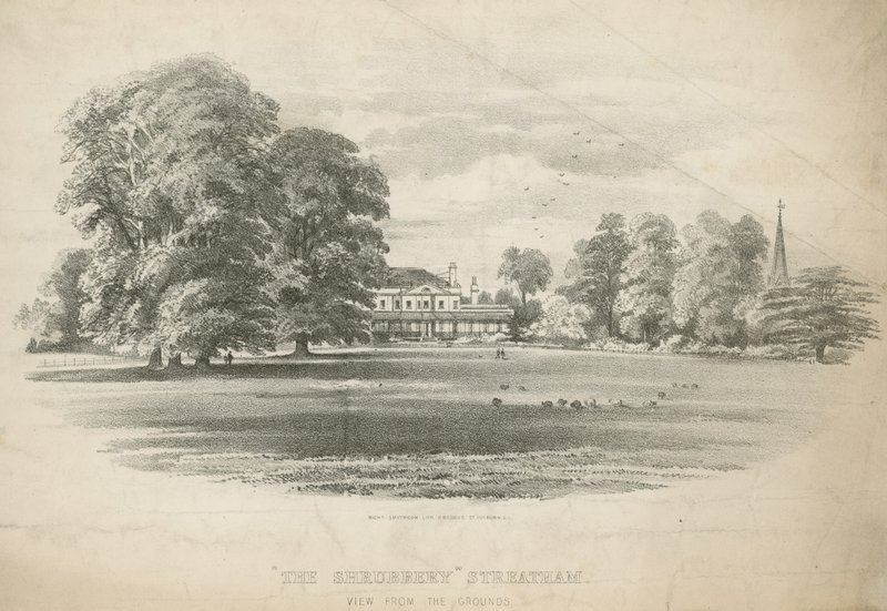 Vue depuis les jardins de The Shrubbery - English School