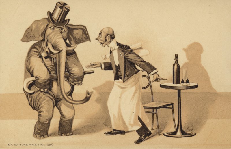 Un serveur sert un éléphant - English School