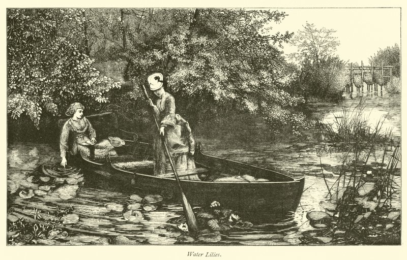 Nénuphars - English School