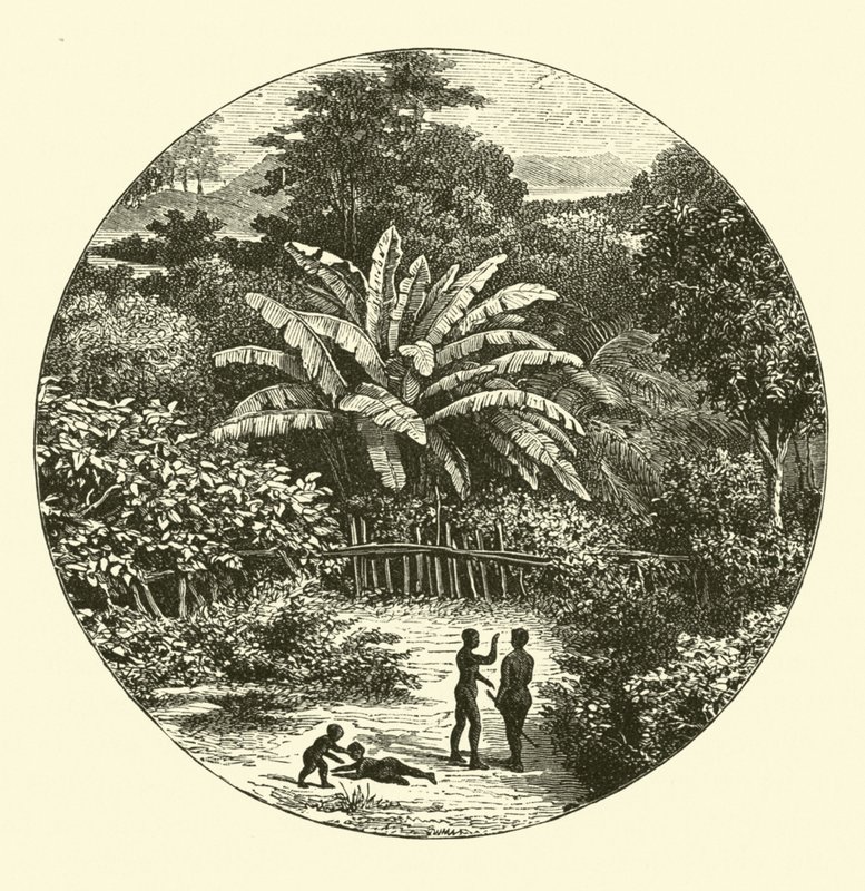 Afrique de l