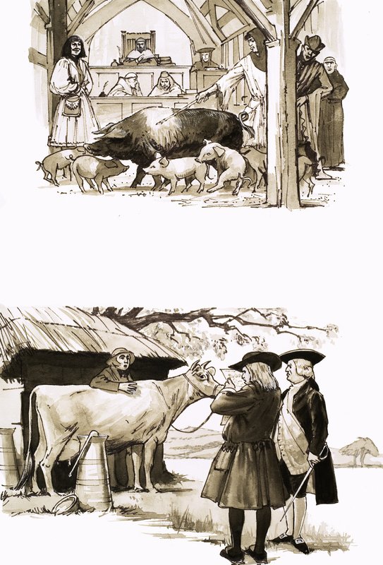 Quand les animaux étaient jugés en cour - English School