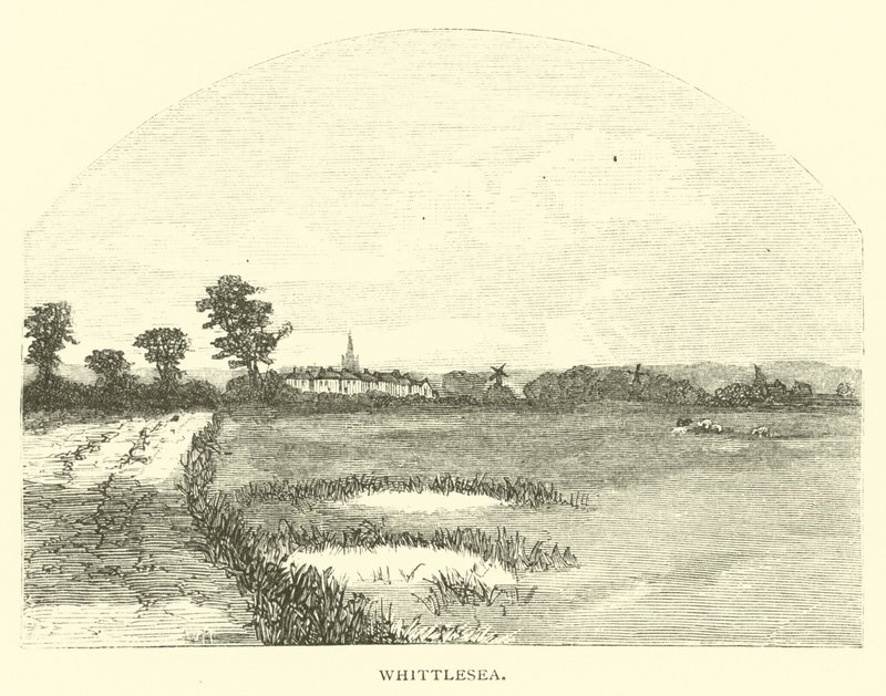 Whittlesea - English School
