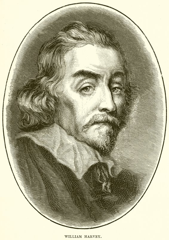 William Harvey - English School