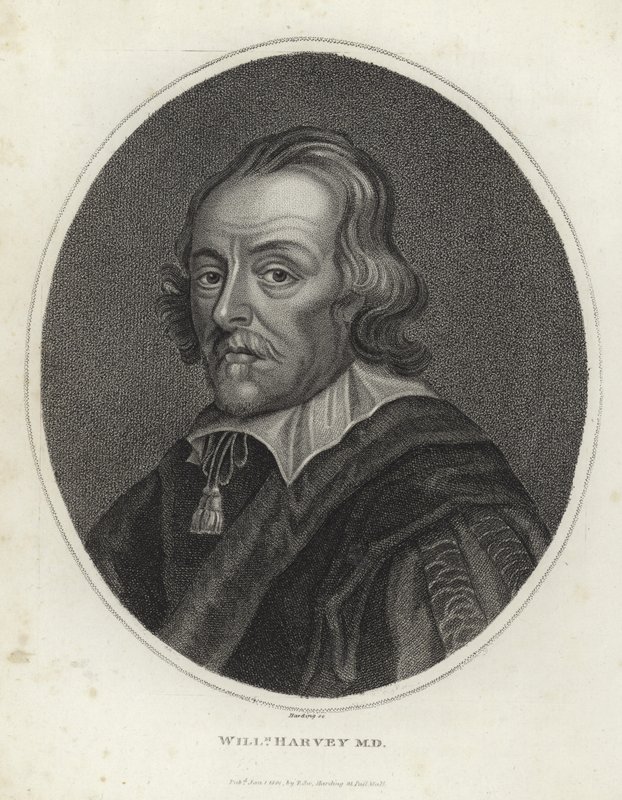 William Harvey - English School