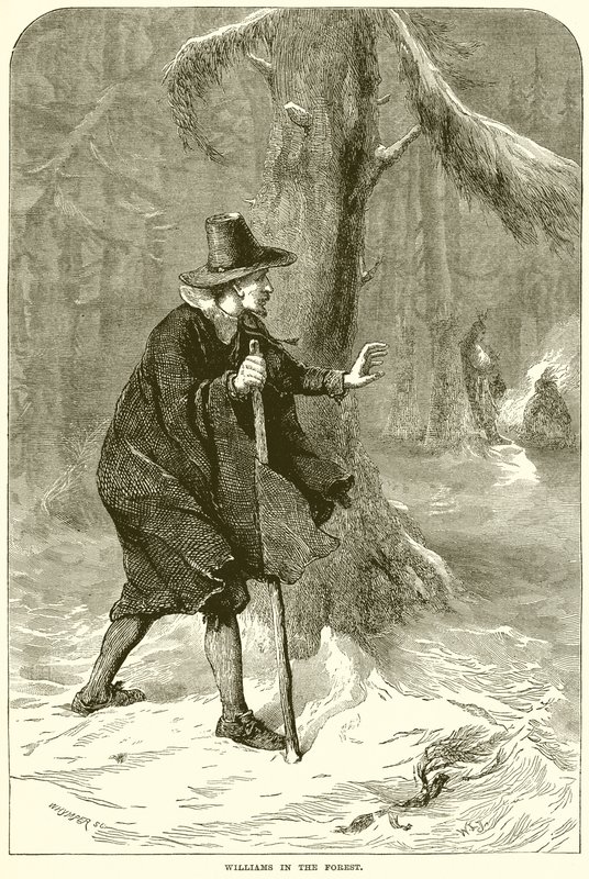 Williams dans la forêt - English School
