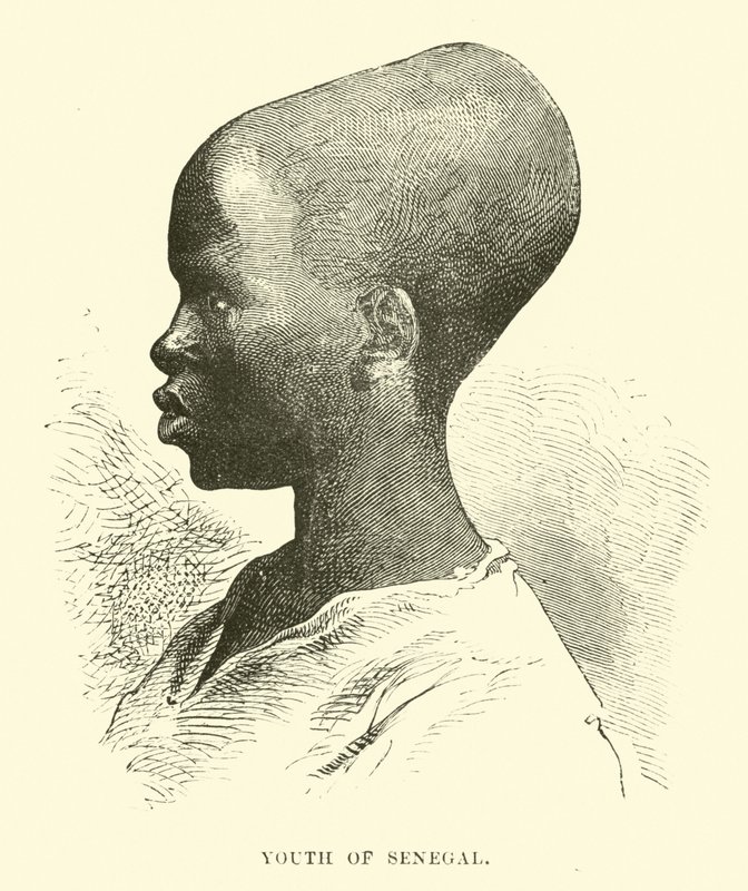 Jeunesse du Sénégal - English School