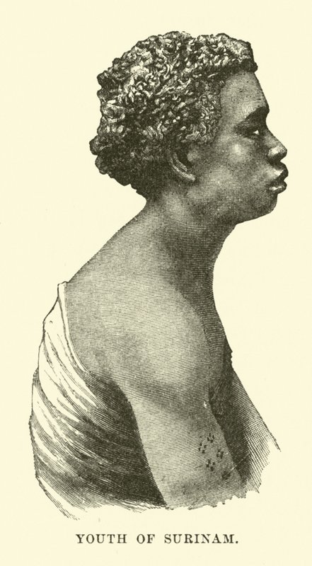Jeune du Surinam - English School