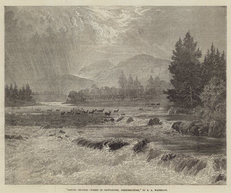 Averses passagères, forêt de Glentanner, Aberdeenshire - Ernest Albert Waterlow