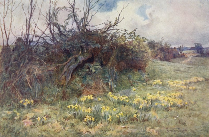 Quand les jonquilles commencent à poindre - Ernest Benger or Berenger