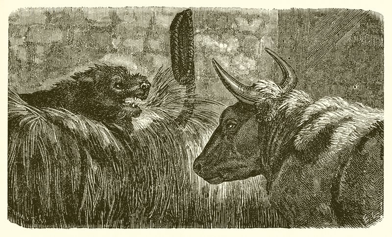 Le Chien dans la crèche - Ernest Henry Griset