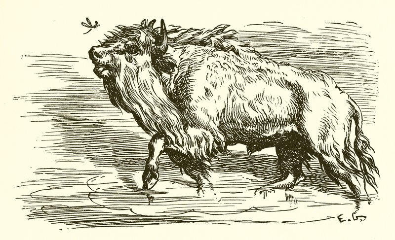 Le Moucheron et le Taureau - Ernest Henry Griset
