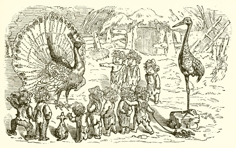 Le paon et la grue - Ernest Henry Griset