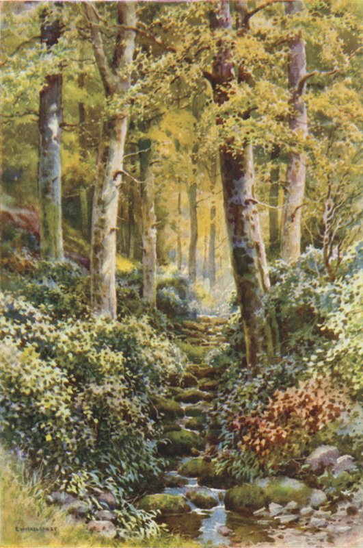 Fairlight Glen - Ernest William Haslehust