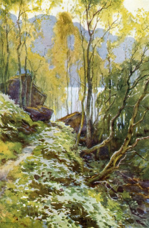 Le Vieux Col, Trossachs - Ernest William Haslehust