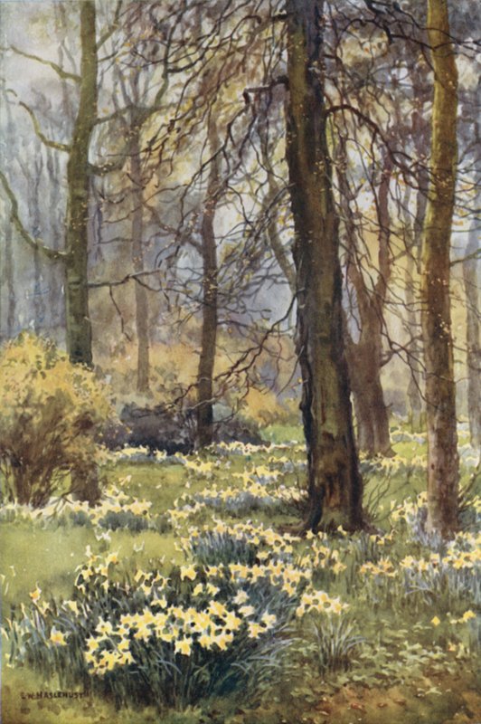 Le désert au printemps - Ernest William Haslehust