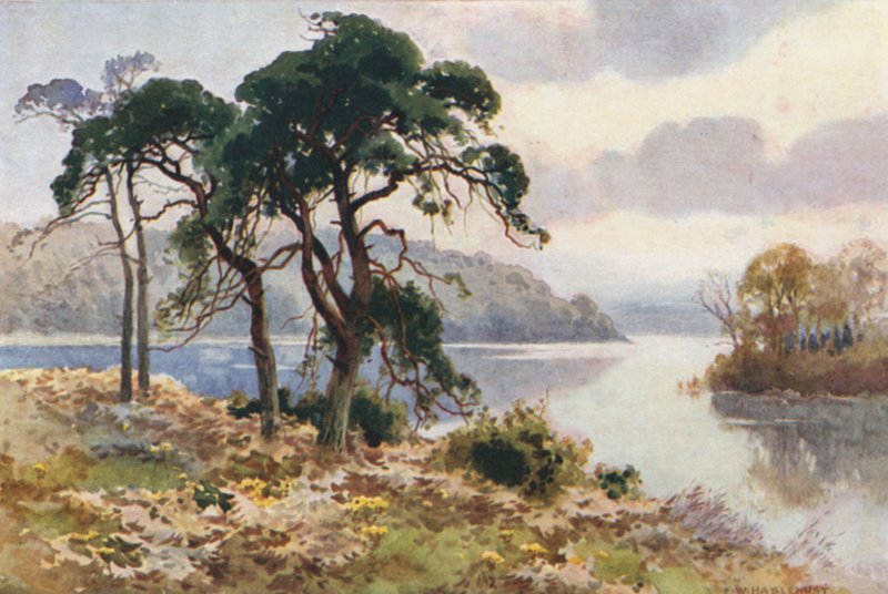 Virginia Water - Ernest William Haslehust