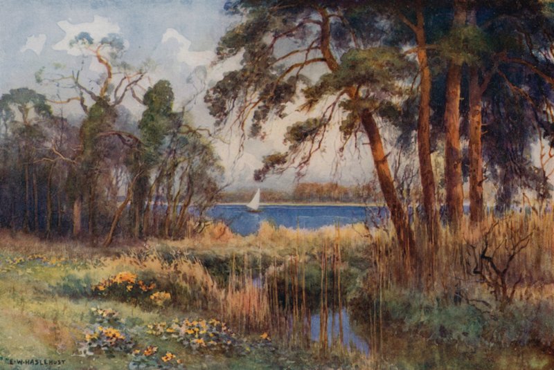 Wroxham Broad, début du printemps - Ernest William Haslehust