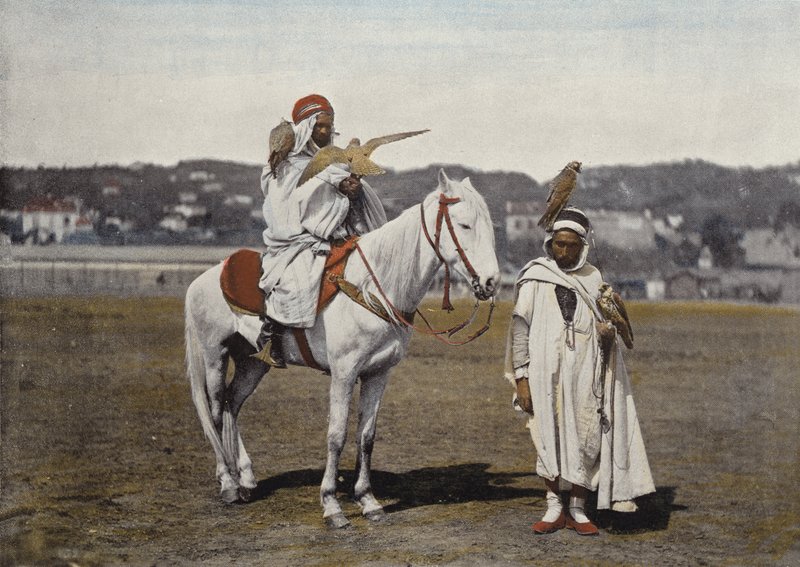 La Chasse au faucon - European Photographer