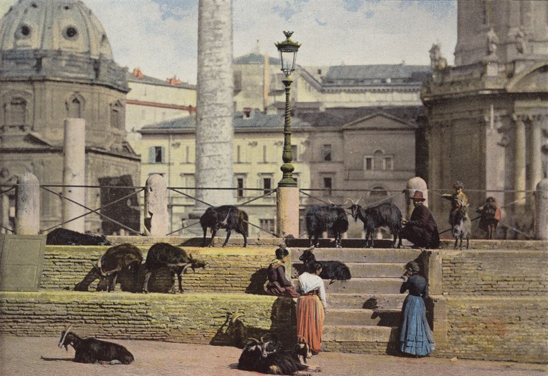 Rome, chèvres dans le Forum de Trajan - European Photographer