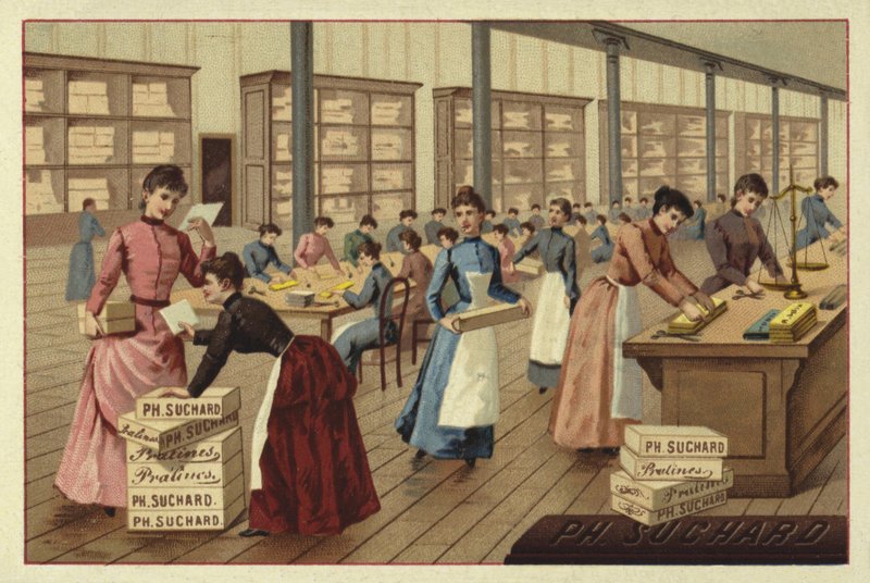 Emballage de chocolats dans une usine - European School