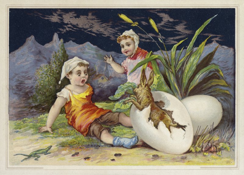 Lapin sortant d