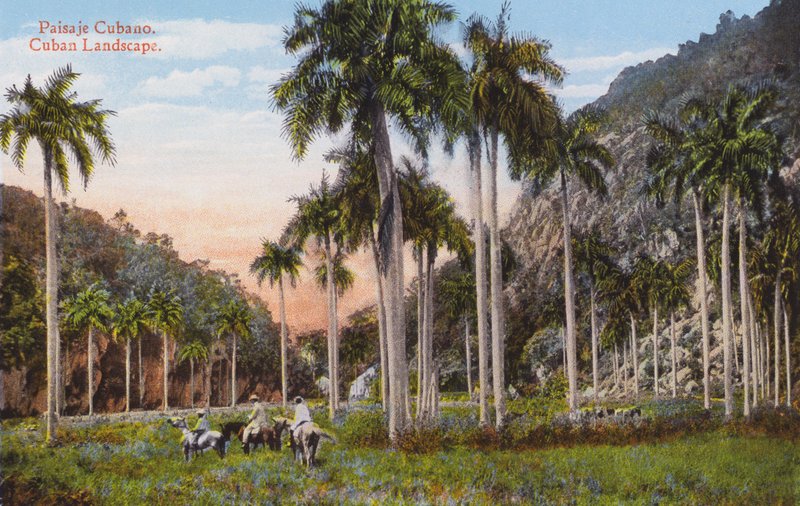 La Havane, Cuba: Paysage Cubain - European Photographer