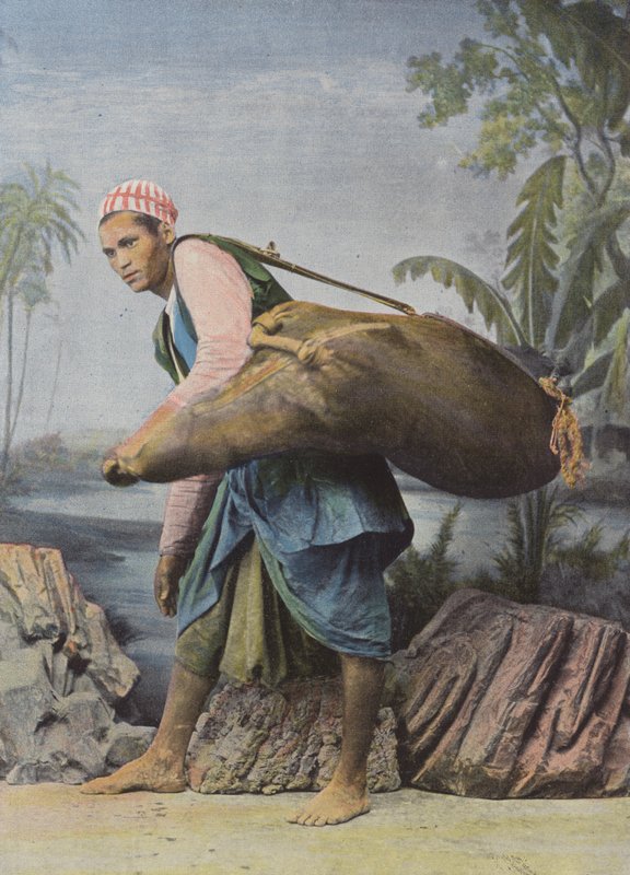 Porteur D