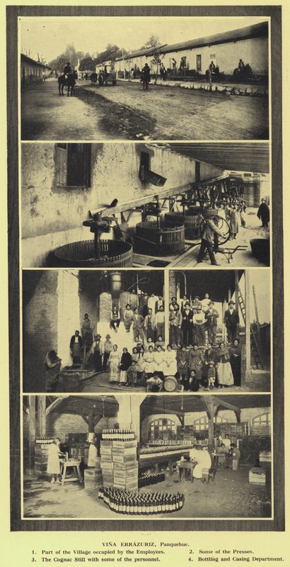 Vina Errazuriz winery, Panquehue, Chili (photo n/b) - European Photographer