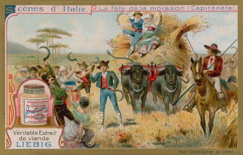 Fête des récoltes en Capitanata - European School