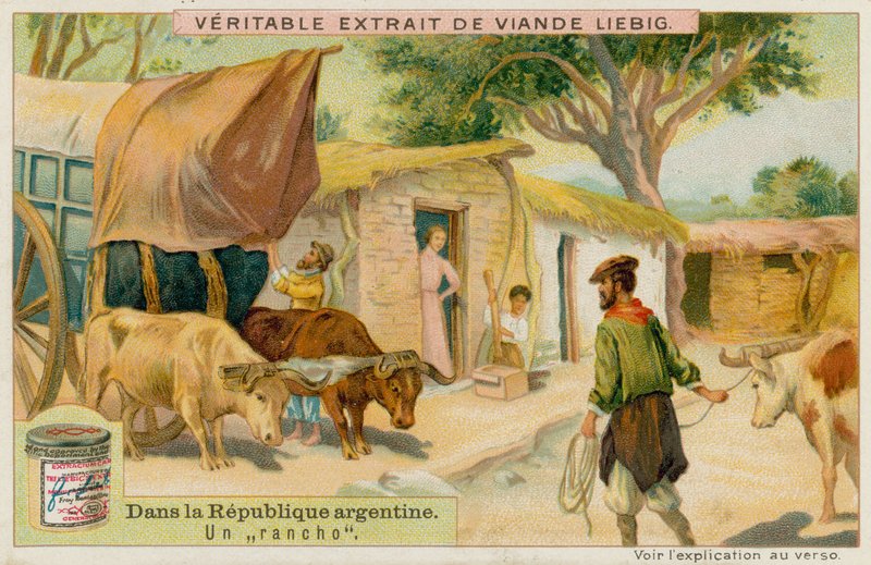 Un ranch - European School