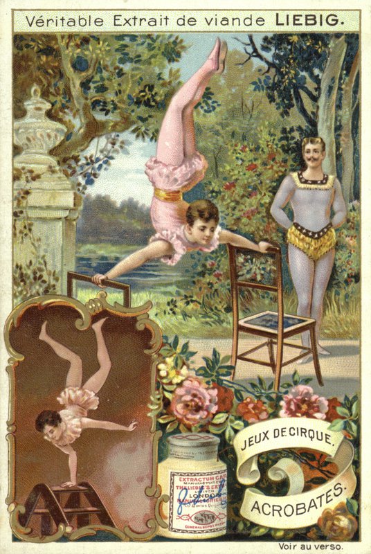 Acrobates - European School