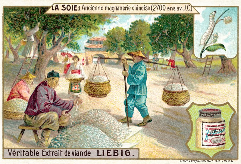 Ancienne magnanerie chinoise, 2700 av. J.-C. - European School