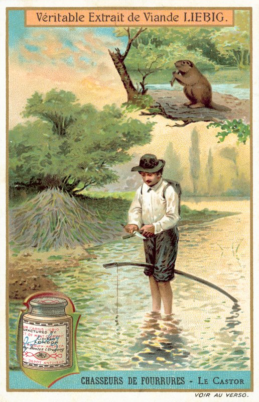 Trappeur de castors - European School
