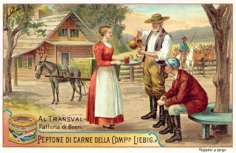 Ferme boer dans le Transvaal - European School