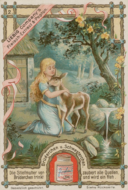 Le frère devient un cerf - European School
