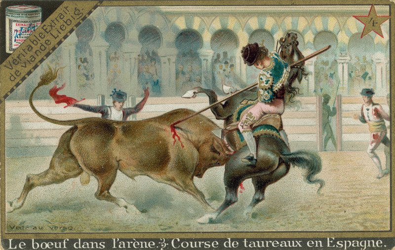 Corrida - European School