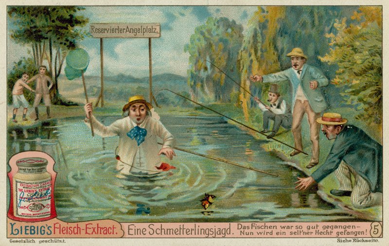 Chasse aux Papillons et Pêcheurs - European School