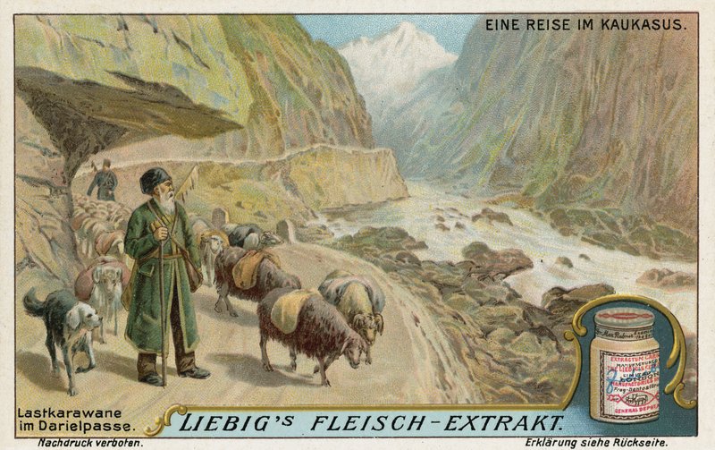 Caravane dans les gorges de Darial, Russie - European School