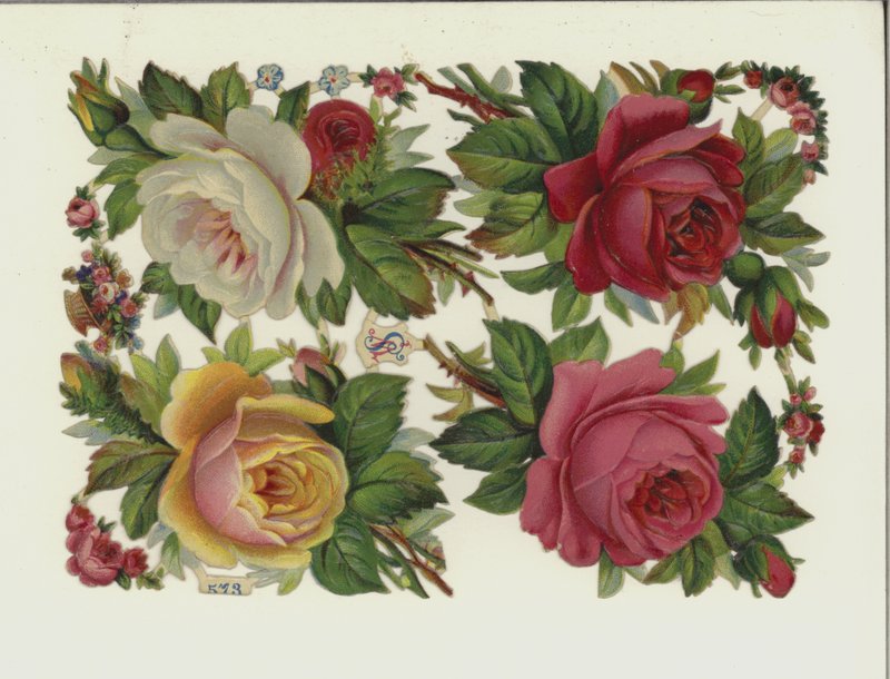Fleurs - European School