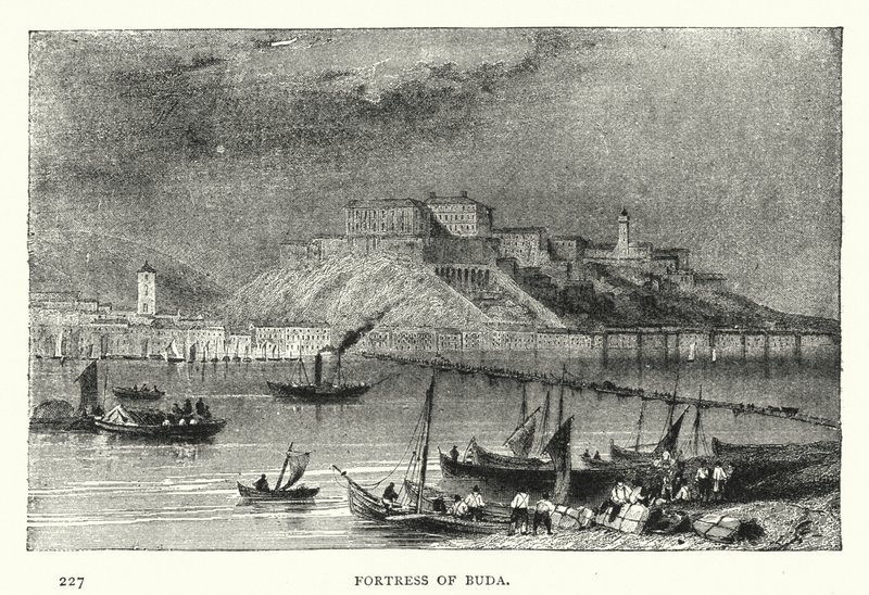 Forteresse de Buda - European School