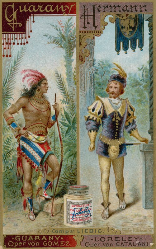 Guarany et Hermann - European School