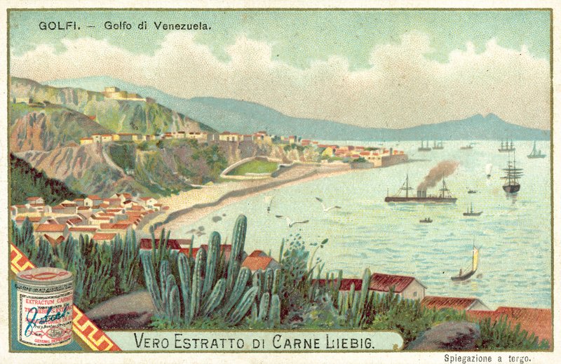 Golfe du Venezuela - European School