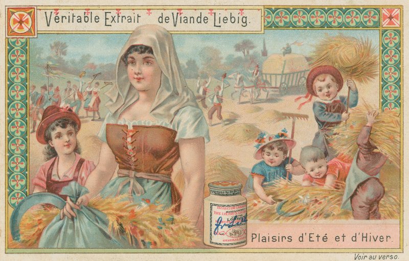 Récolte - European School