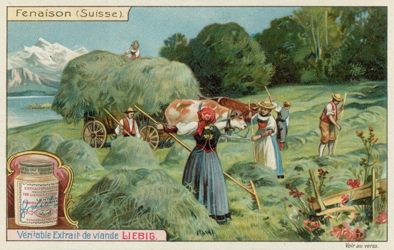 Fenaison en Suisse - European School