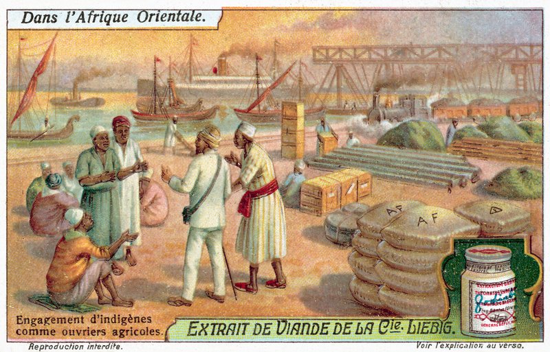 Embauche de travailleurs agricoles indigènes - European School