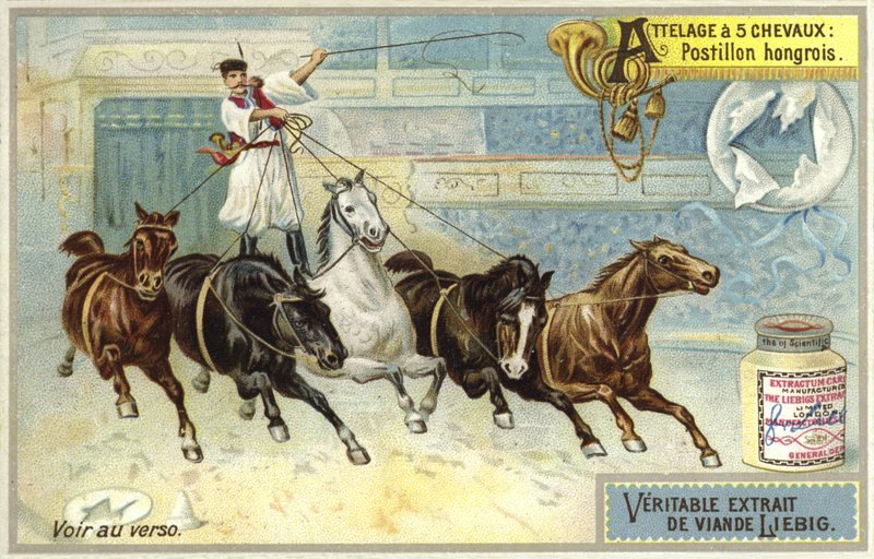Postillon hongrois - European School