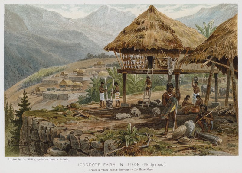 Ferme Igorrote à Luzon, Philippines (chromolithographie) - European School